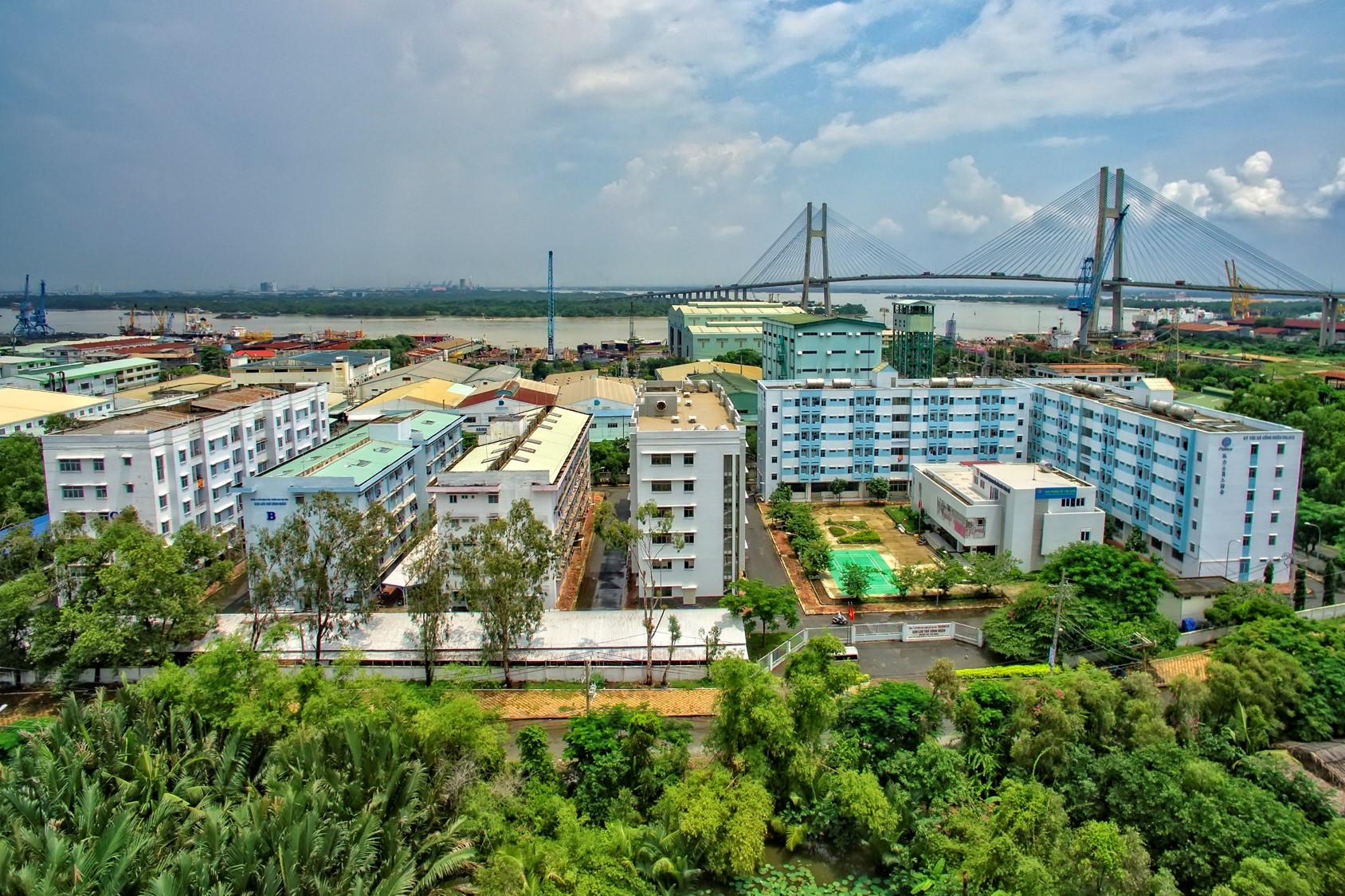 Tổng quan